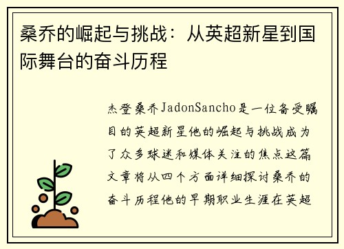 桑乔的崛起与挑战：从英超新星到国际舞台的奋斗历程